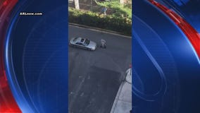 VIDEO: Man on scooter draws ire of impatient tailgating driver in Arlington