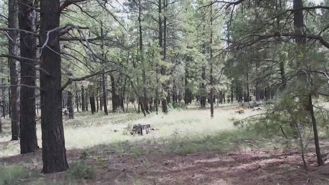 Stage 2 fire restrictions in effect across Arizona as dry conditions persist