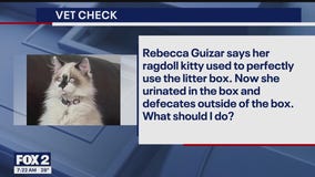 Vet Check: Exclusively Cats