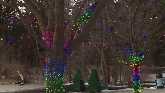 Experience the magic of the Milwaukee Zoo after dark during Wild Lights