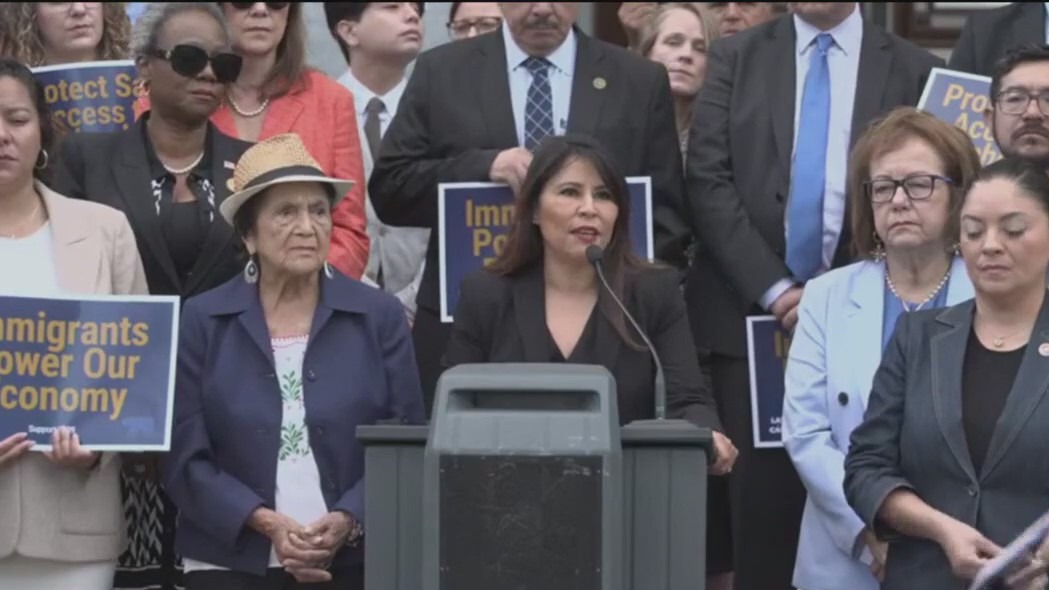 California Democrats stand with immigrants