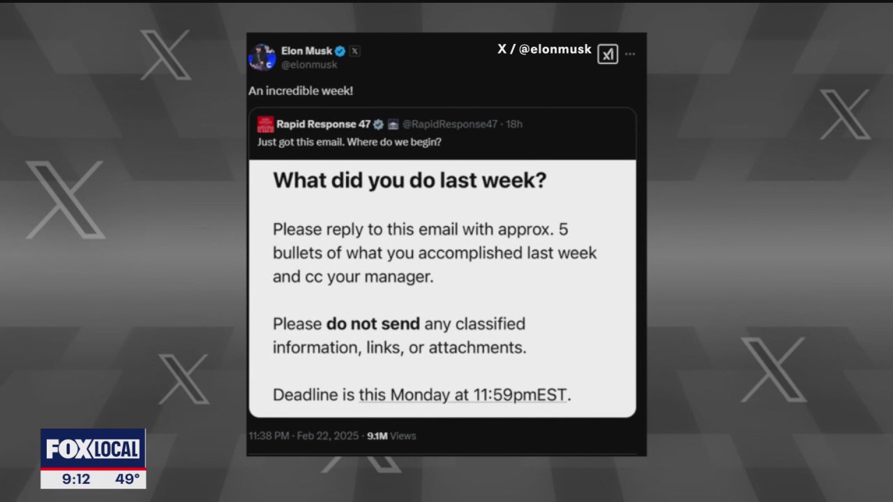 Elon Musk asks gov. employees to explain what they did