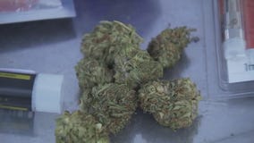 San Marcos' marijuana decrim. ordinance