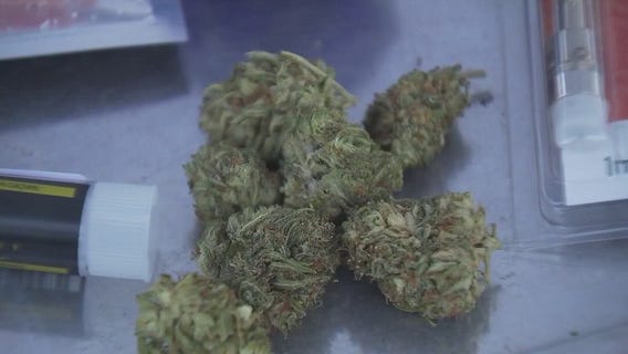 San Marcos' marijuana decrim. ordinance