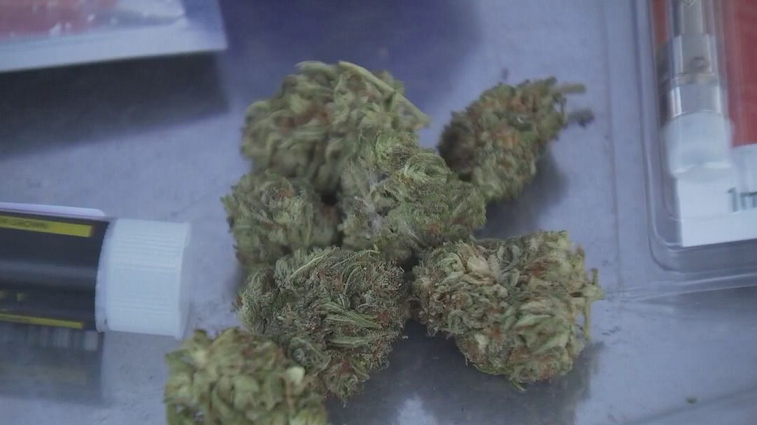 San Marcos' marijuana decrim. ordinance