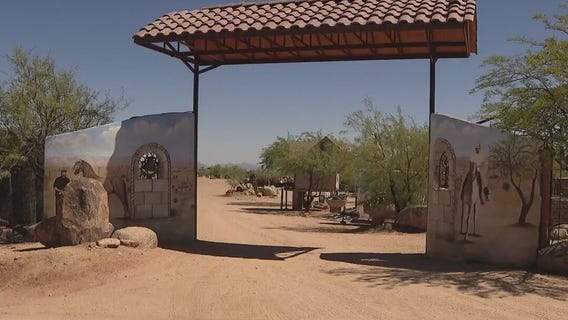 Exotic animals rescue: No arrests announced yet