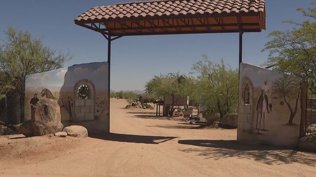 Exotic animals rescue: No arrests announced yet