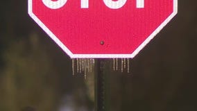 Georgians brave snow, ice for groceries