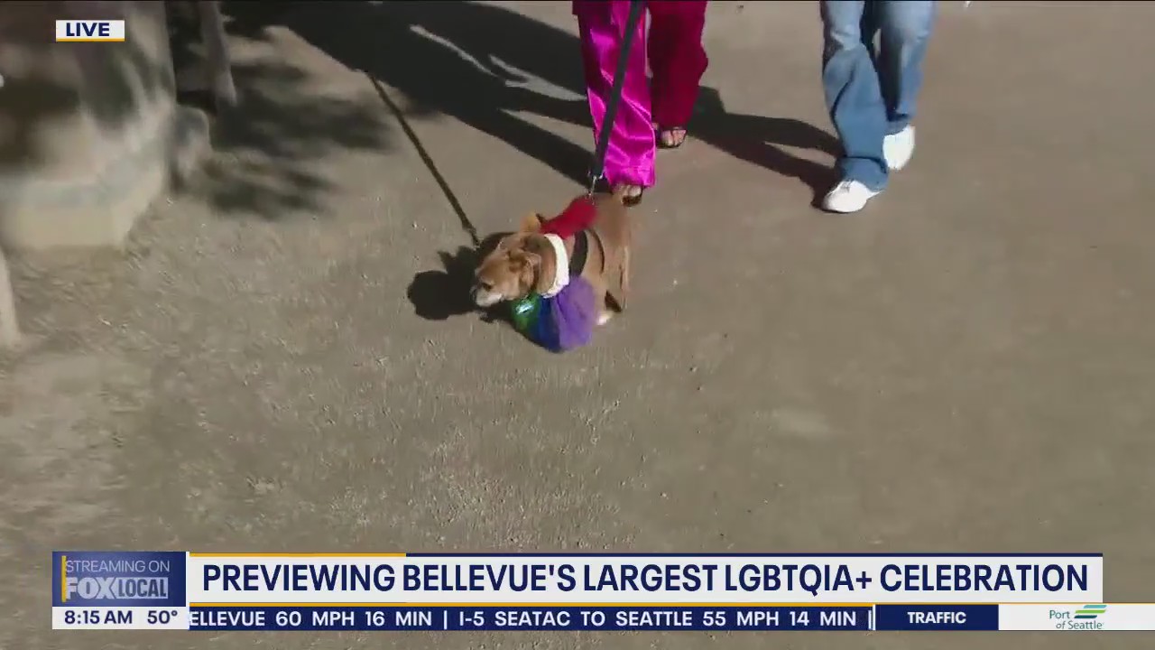 Paws & Pride Dog Walk celebration