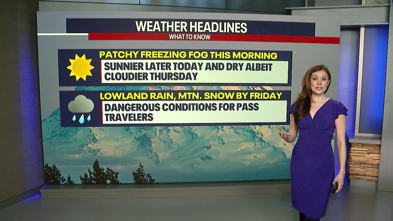 Seattle weather: Chance of freezing fog Wednesday morning