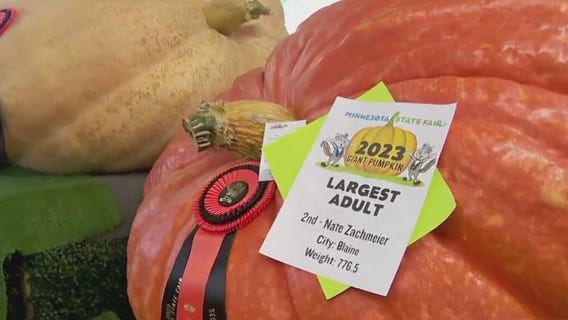 Blue ribbon vegetables at MN State Fair