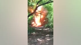 Nassau PD investigating video of teens setting off explosives in Farmingdale