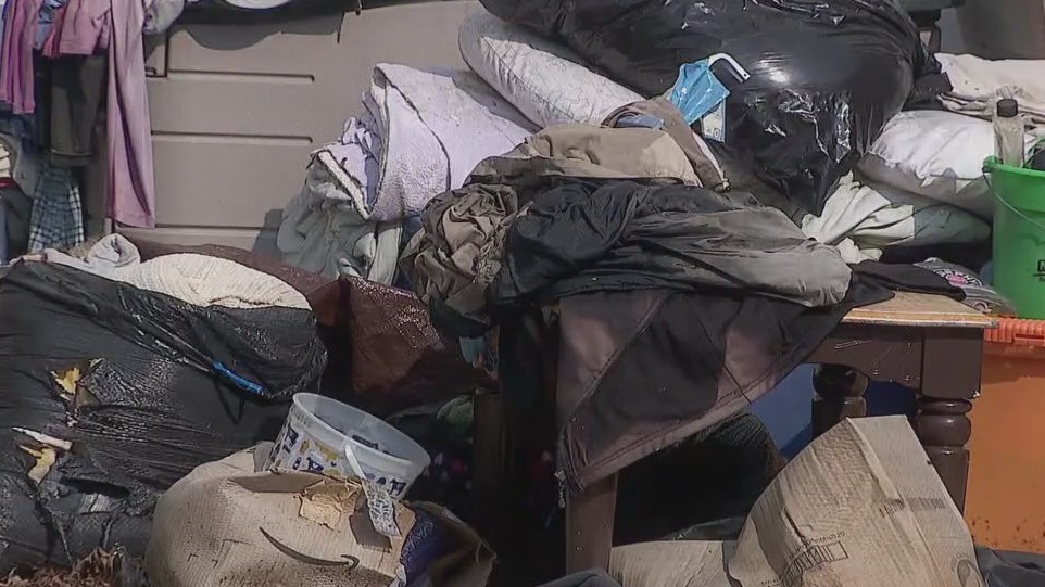 Animal abuse suspect's house causing neighborhood issues