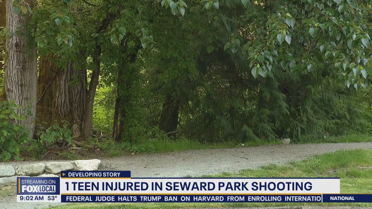 Seattle police investigating a pair of overnight shootings