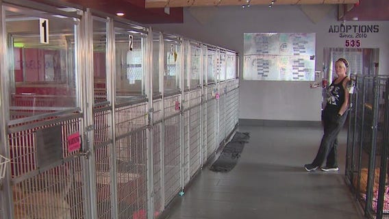 Rockstar Rescue auctions off MINI Cooper to fundraise