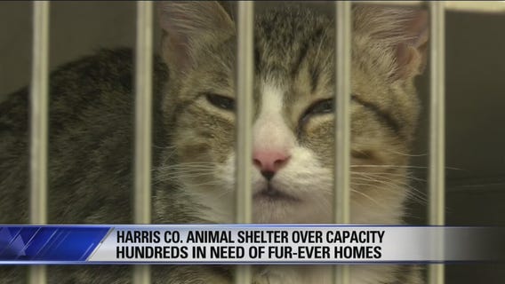 Fox 26 News Brief for Thursday, September 20, 2018