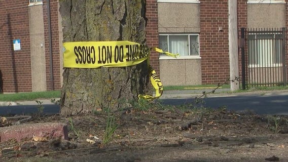 Gunman still on the loose in the murder of 7-year-old boy in East Chicago