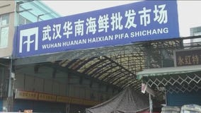 Questions remain over mysterious origins of COVID