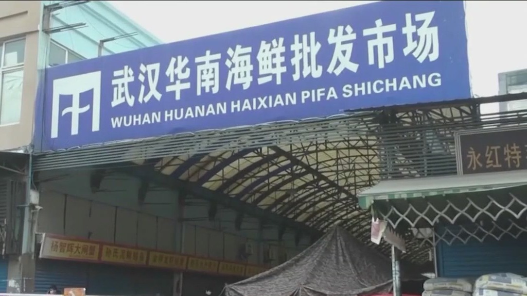 Questions remain over mysterious origins of COVID