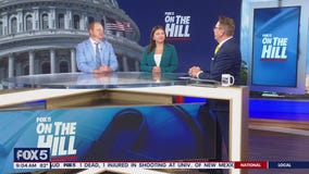 POLITICAL PANEL: The Jefferey Epstein case and President Trump goes to Scotland