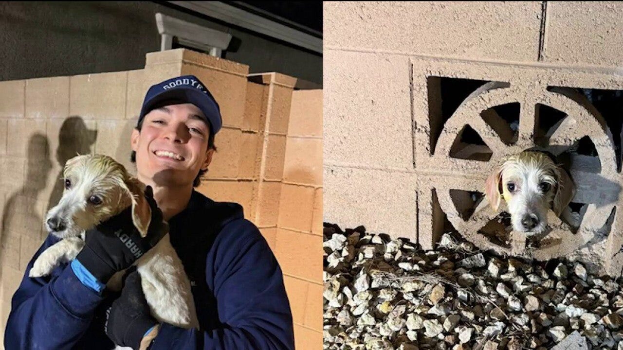Puppy rescued by Goodyear firefighters