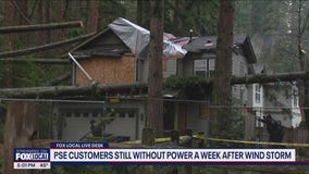 Some PSE customers still without power a week after storm