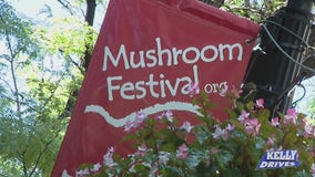 Kennett Square Mushroom Festival