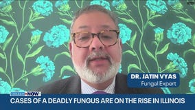 Deadly fungal infection Candida auris on the rise in Illinois | ChicagoNOW