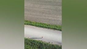 MS diagnosis doesn't hold back Arizona runner