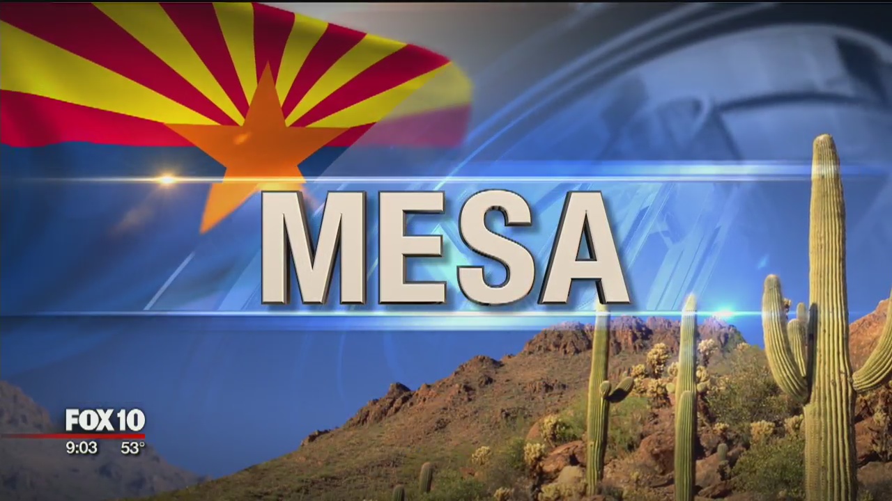 Packed house at Mesa school board meeting as parents look for answers after school superintendent was put on leave