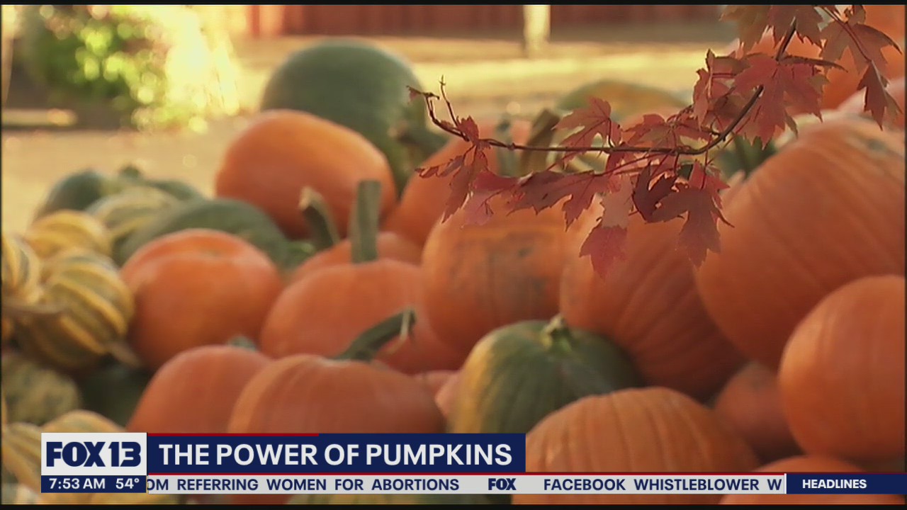 Health benefits of pumpkins