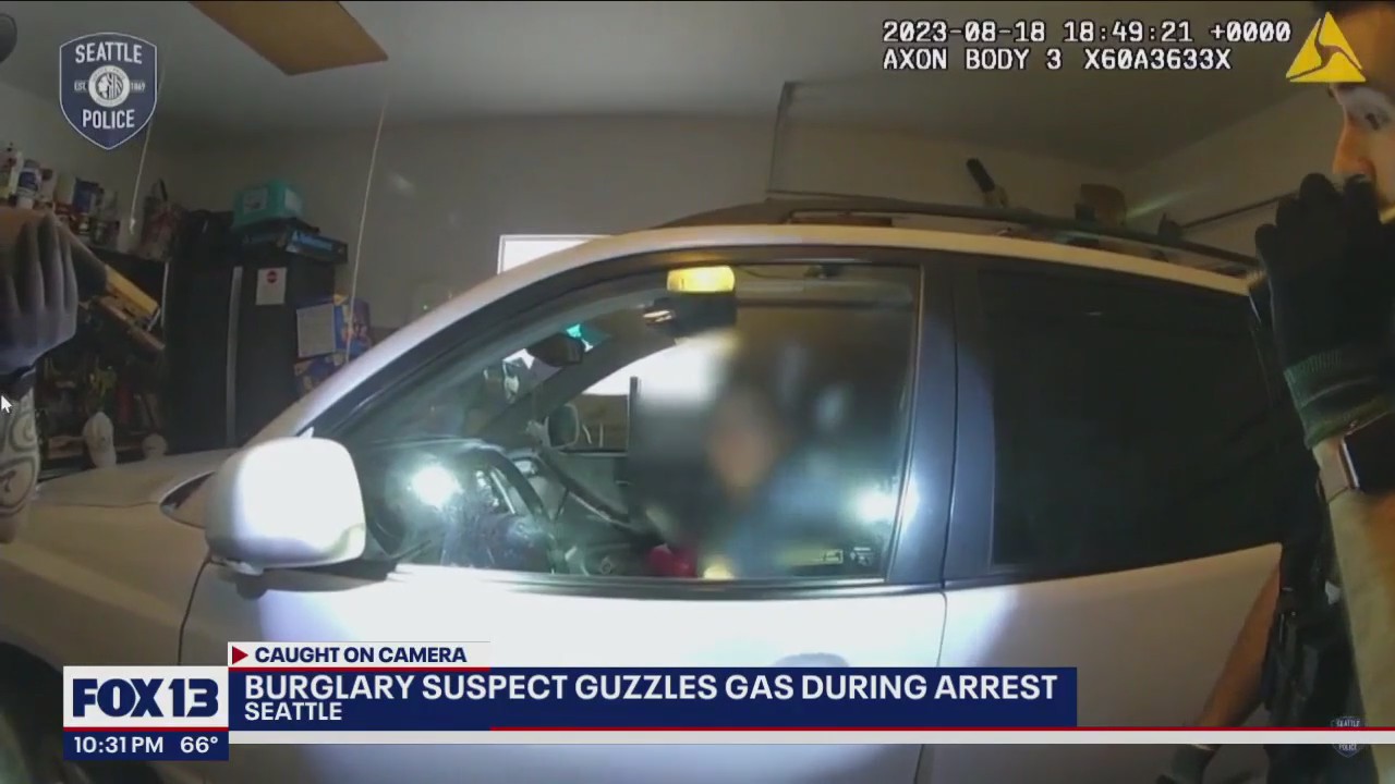 Docs: Gas-guzzling burglary suspect ate residents' pizza, chips while rummaging through home