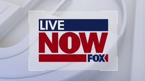 How soon could Donald Trump return to Twitter now that Elon Musk is in charge? | LiveNOW from FOX