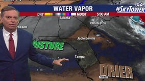 Tampa weather | Thursday morning forecast
