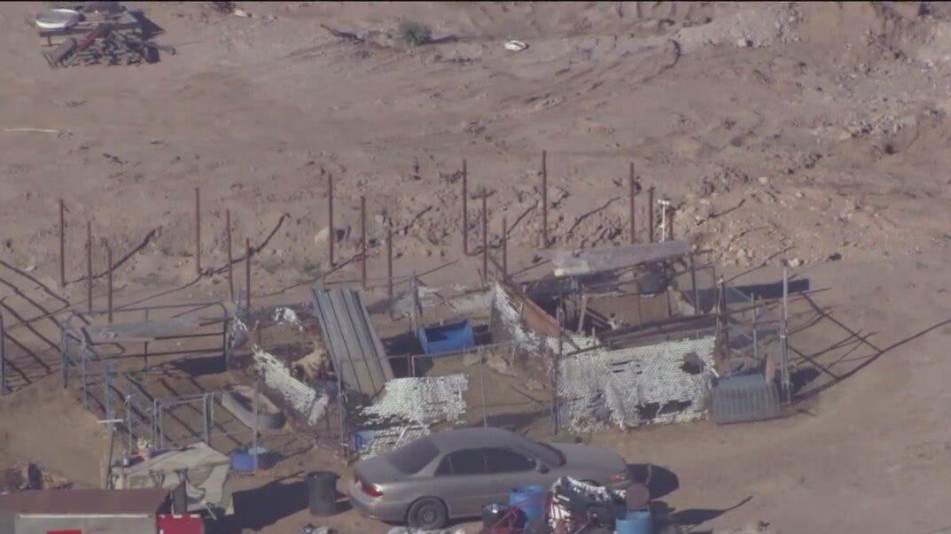 MCSO seizes three horses in Buckeye