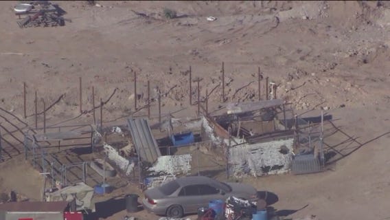 MCSO seizes three horses in Buckeye