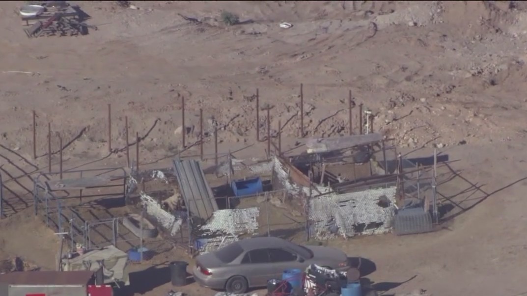 MCSO seizes three horses in Buckeye