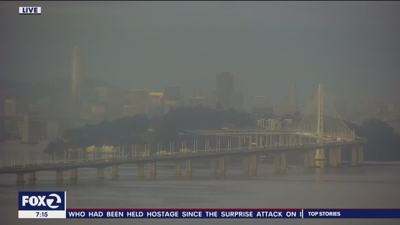 A partly sunny Saturday is forecasted ahead of a rain-shower Sunday