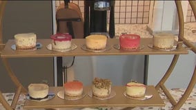 Johnny?s Cheesecakes feature flavors of Jamaica