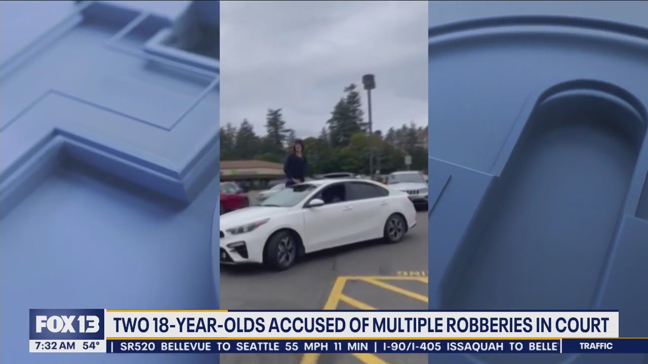 2 teens accused of multiple robberies in court