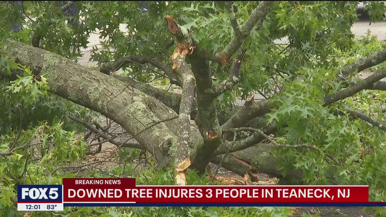 Large tree falls onto Tesla in Teaneck, NJ, injuring 3