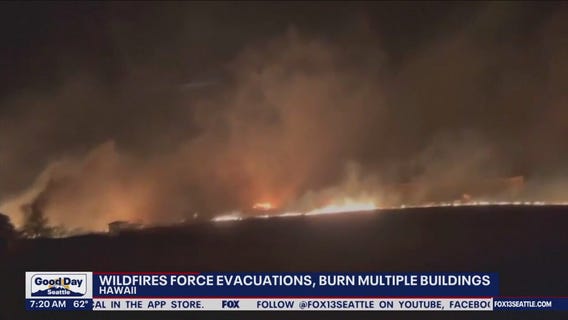Wildfires force evacuation in Hawaii