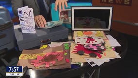 Save Me Steve: Declutter your home in 30 days