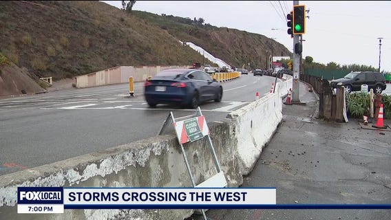 Sea otter pup reunites with its mother in Morro Bay | West Coast Wrap