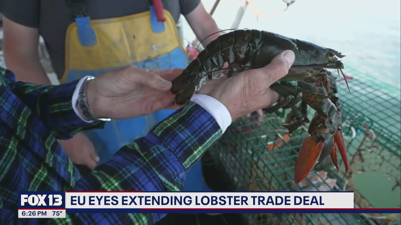 EU eyes extending lobster trade deal