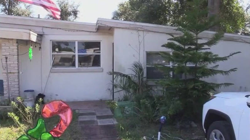 How to install your Christmas tree safely