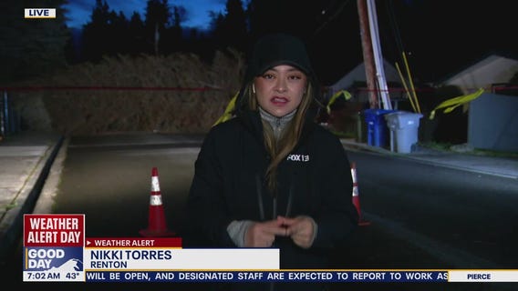 Strong winds knock down trees, cause widespread power outages in WA