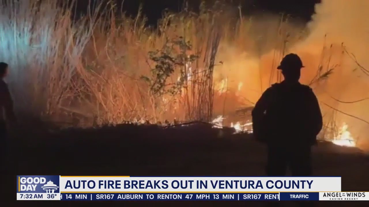 New wildfire pops up overnight in CA