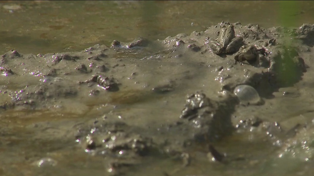 Unrepaired Travis Co. landfill threatens housing project