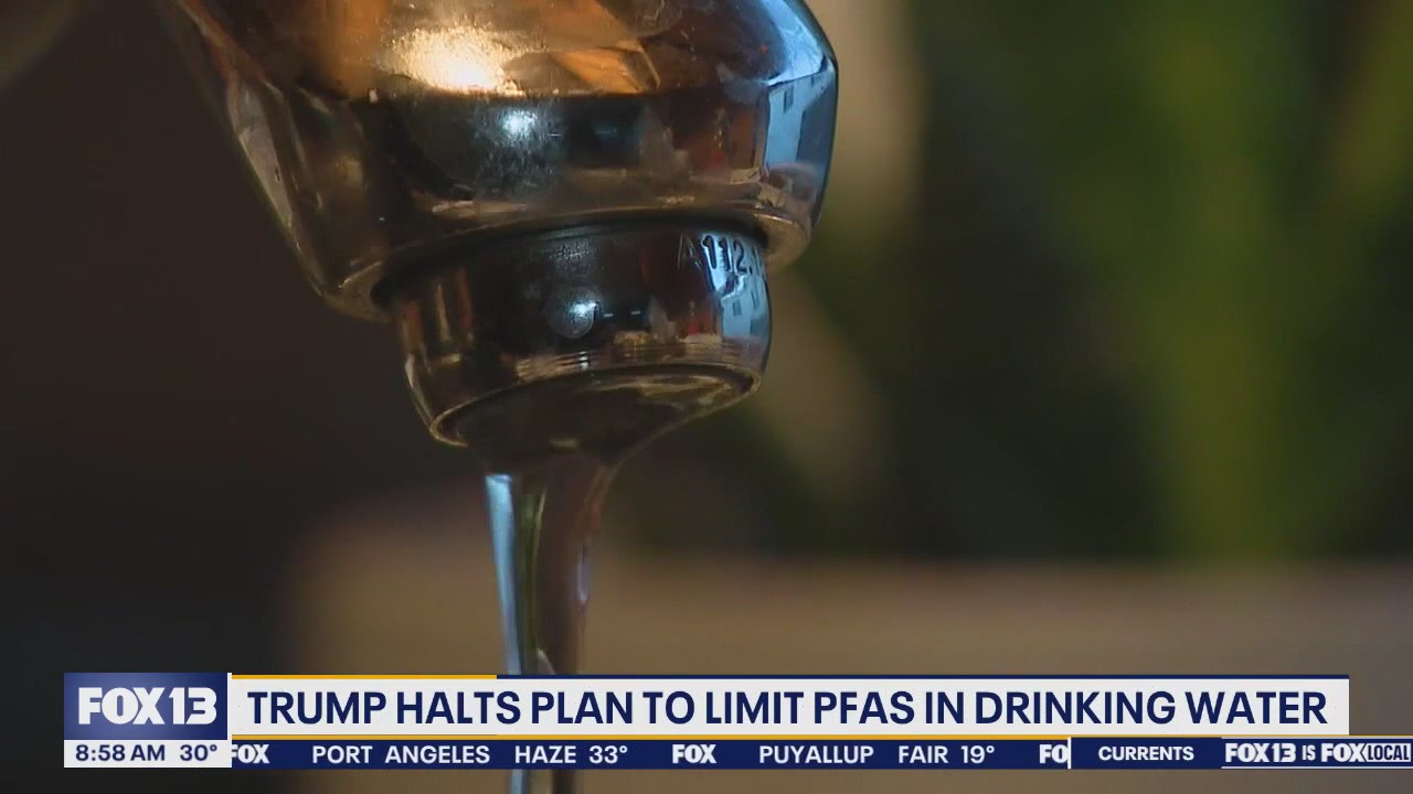 Trump stops US plan to limit forever chemicals in drinking water